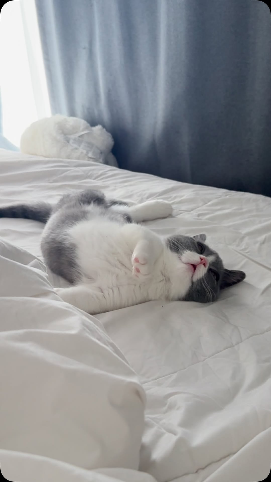 looooooooooooouie 게시물 이미지: 꿈에서 달리기 하니?😆