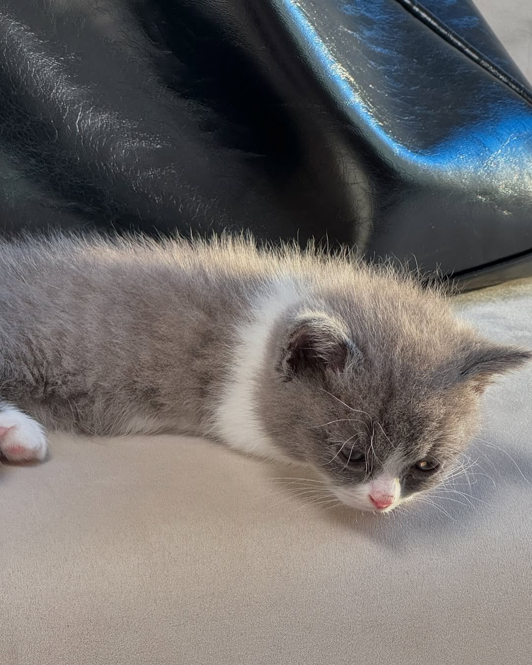 Photo by 루이 on September 29, 2024.