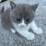 looooooooooooouie 인스타그램 프로필 사진