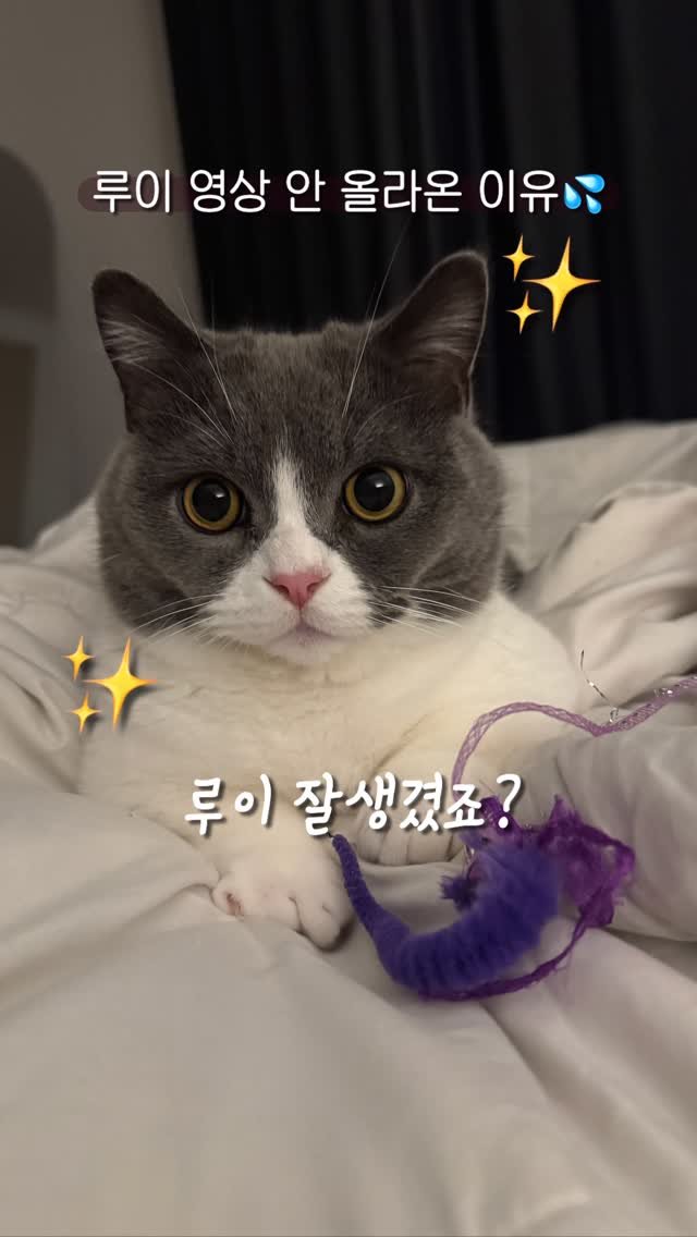 looooooooooooouie 게시물 이미지: 406일만에 올리는 영상