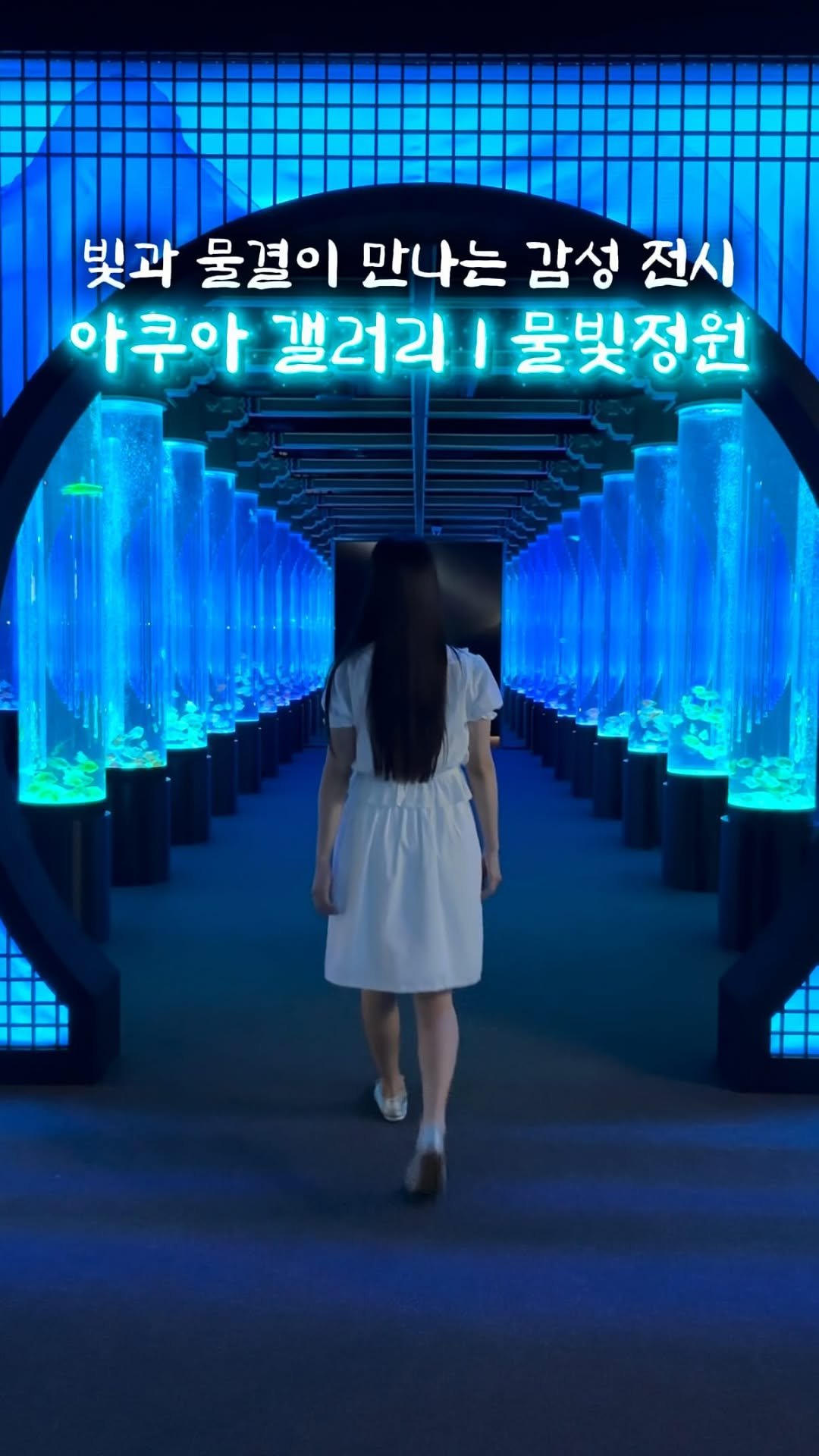 lotteworld_aquarium 게시물 이미지: 빛이 스며들고, 물결이 이야기가 되는 공간✨

롯데월드 아쿠아리움 <아쿠아 갤러리>...