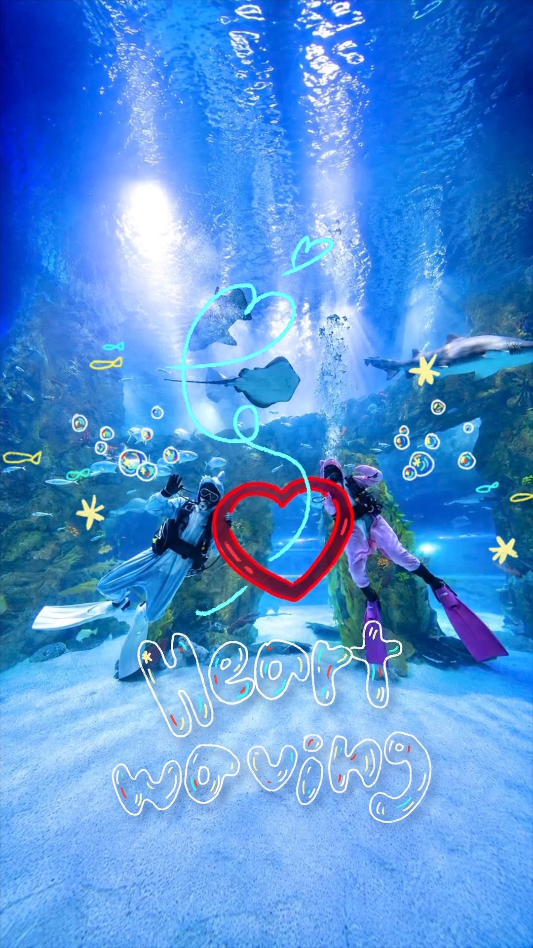 lotteworld_aquarium 게시물 이미지: 바닷속에 하트가 뿅뿅( ˶'ᵕ'🫶🏻)💕
상어로 변신한 아쿠아리스트와
인사도 나누고...