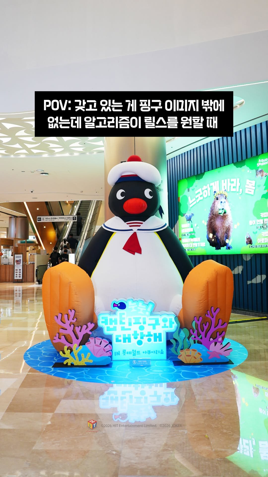 lotteworld_aquarium 게시물 이미지: 핑구&핑가의 모험은 아무도 막을 수 없다!🐧
⠀
🛶배 타고 출발!
🦈상어 만나...