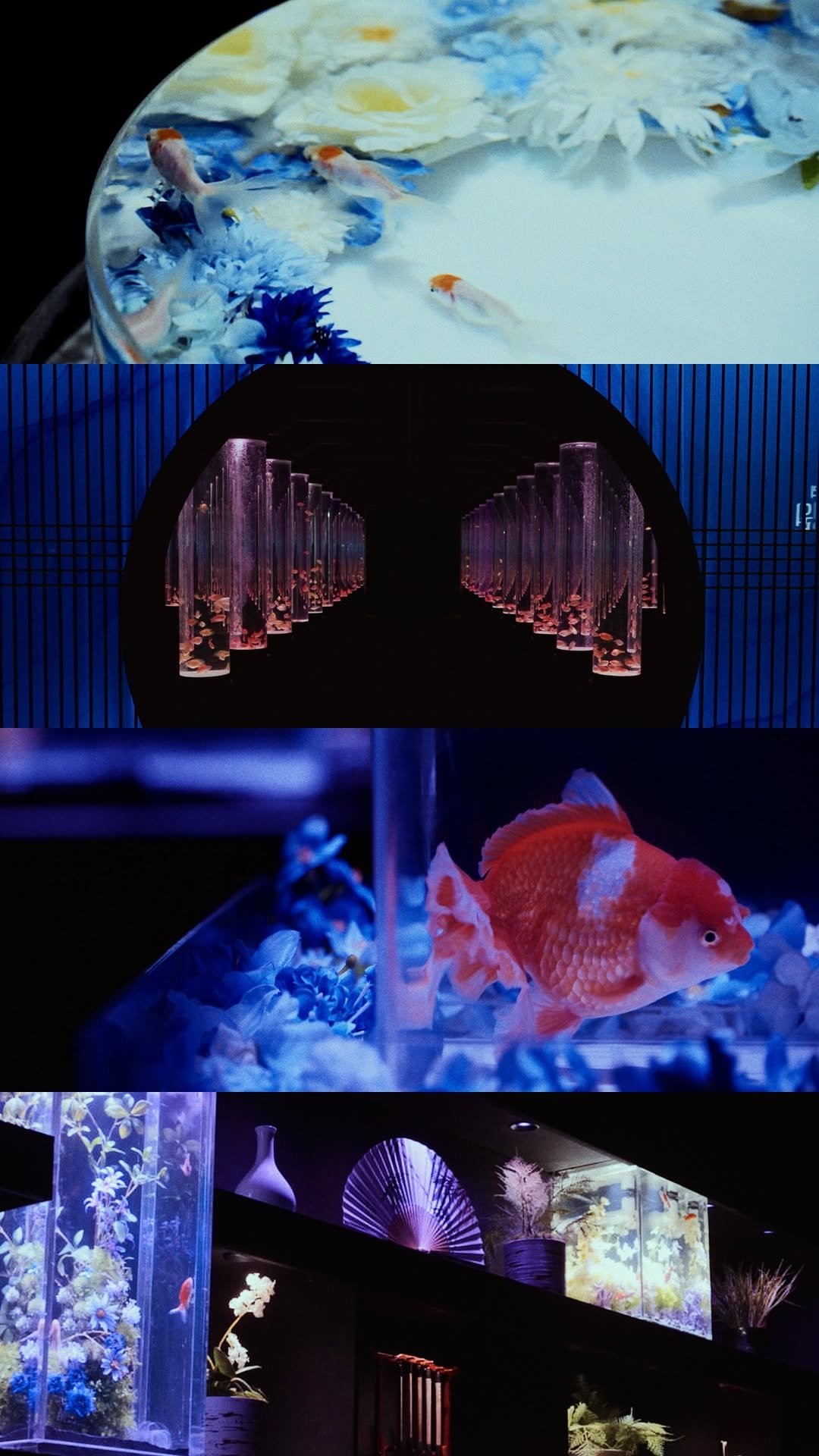 lotteworld_aquarium 게시물 이미지: 물과 빛, 그리고 아름다운 생물이 빚어낸 하나의...