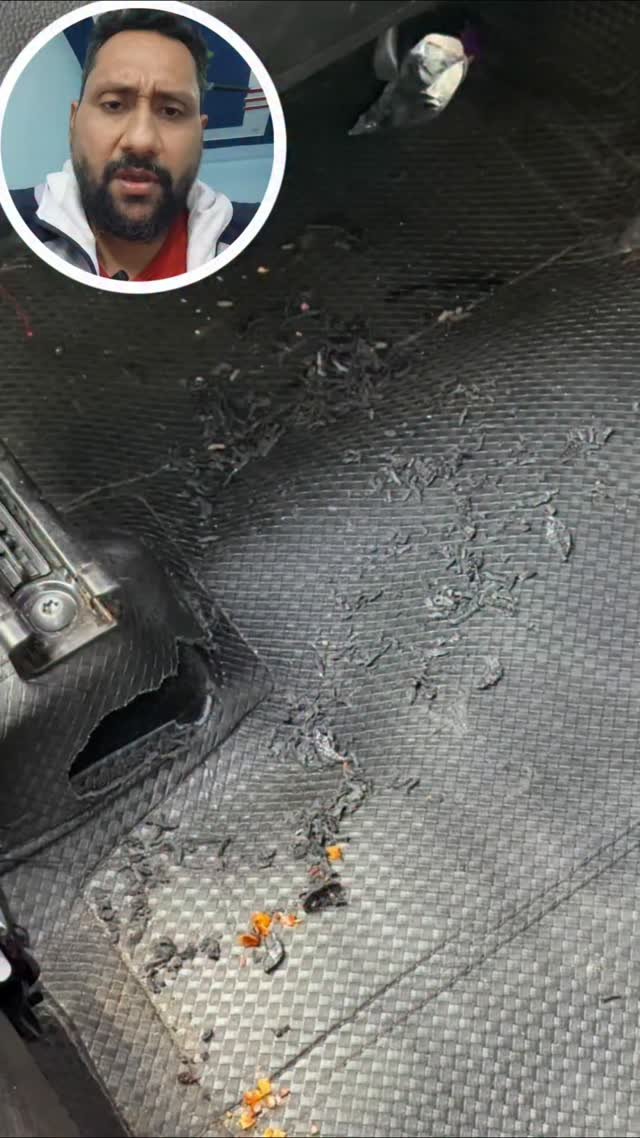 love2travells 게시물 이미지: Why rat protection is important in car