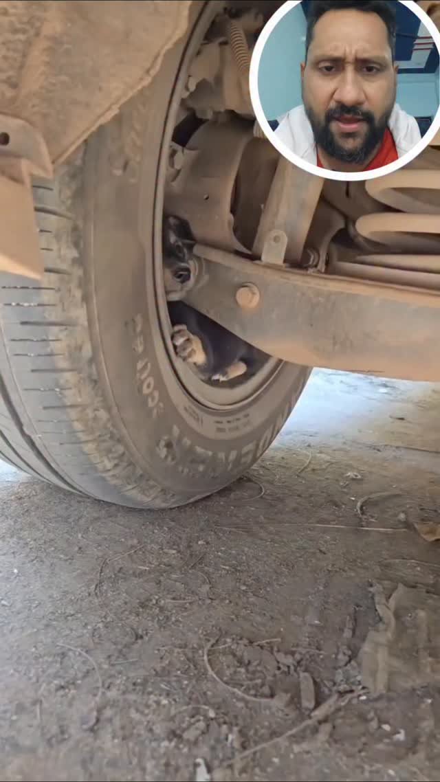 love2travells 게시물 이미지: Before Drive check car underbody please