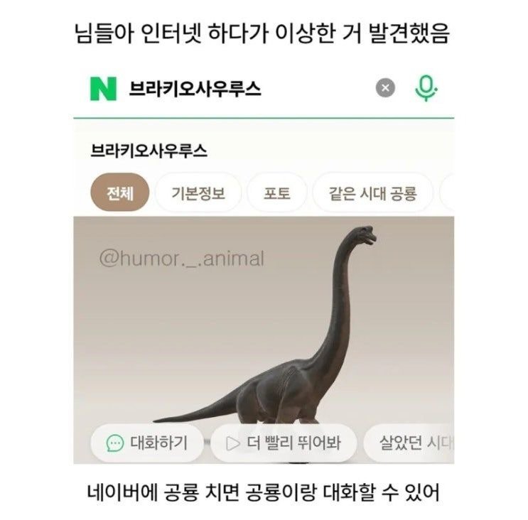 Photo by 사랑좋아해적단 on April 24, 2026. May be an image of text that says '님들아 인터넷 하다가 이상한 거 발견했음 N 브라키오사우루스 브라키오사우루스 전체 기본정보 포토 같은 시대 공룡 @humor._.animal 대화하기 더 빨리 뛰어봐 살았던 시다 네이버에 공룡 치면 공룡이랑 대화할 수 있어'.