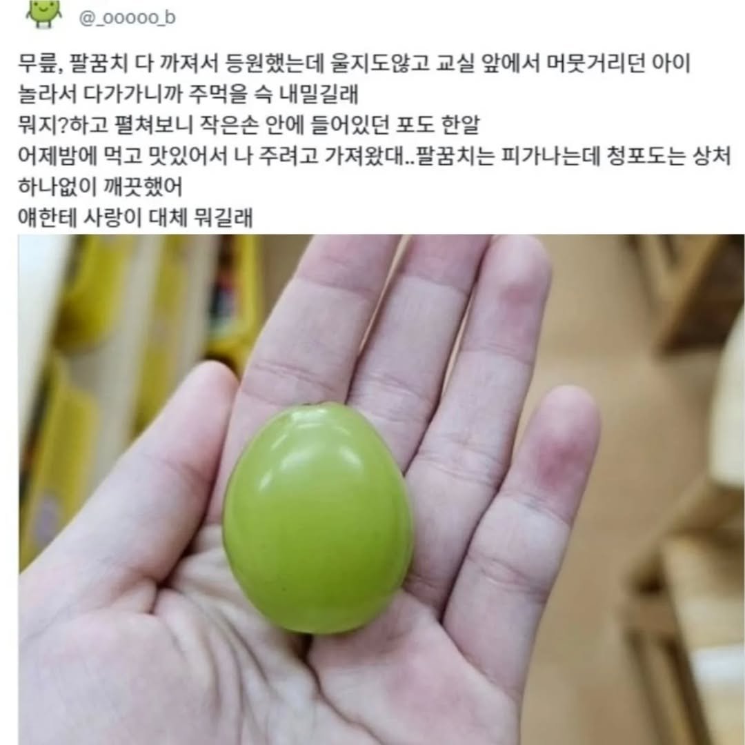 Photo by 사랑좋아해적단 on March 25, 2025.