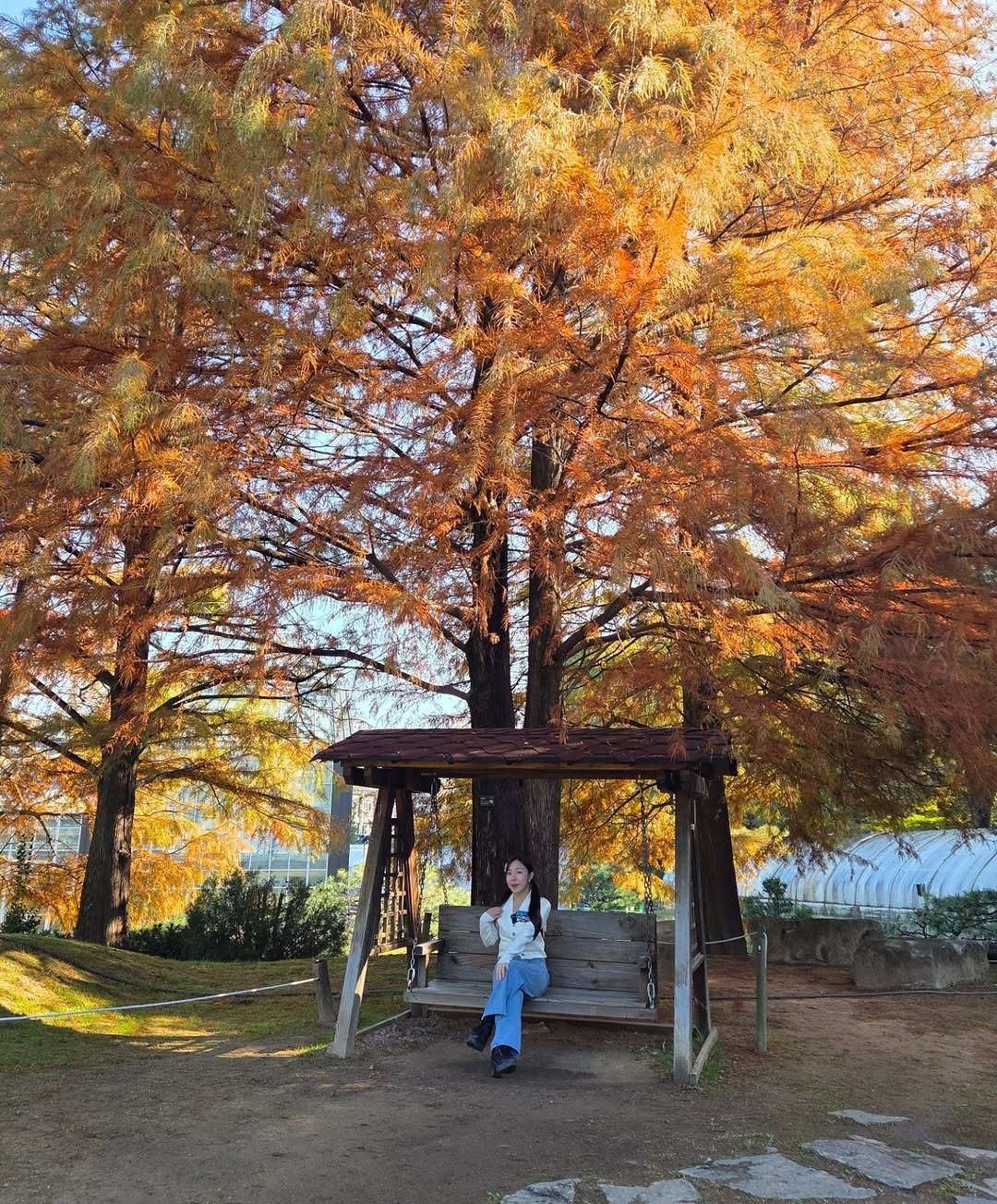 Photo by 쇼호스트 MC 리포터 김현아┃프리혀나 on October 31, 2025. May be an image of maple leaves, tree, park and text.