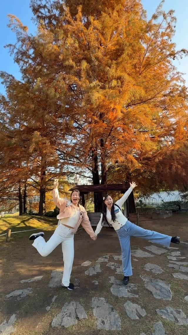 lovee_ha 게시물 이미지: 중심 잡는 게 쉽지 않네요 😓
그래도 누구보다 빠르게 남들과는 다르게🍁
가을단풍...