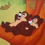 habeee_ 프로필 사진