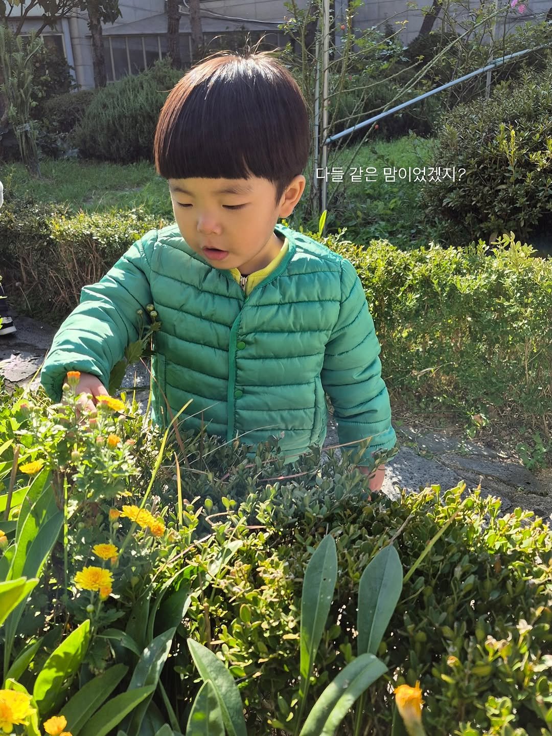 Photo shared by 로건맘 | 육아정보 온라인수익 on October 28, 2025 tagging @syok100826. May be an image of child, yellow jessamine, daffodil and text.