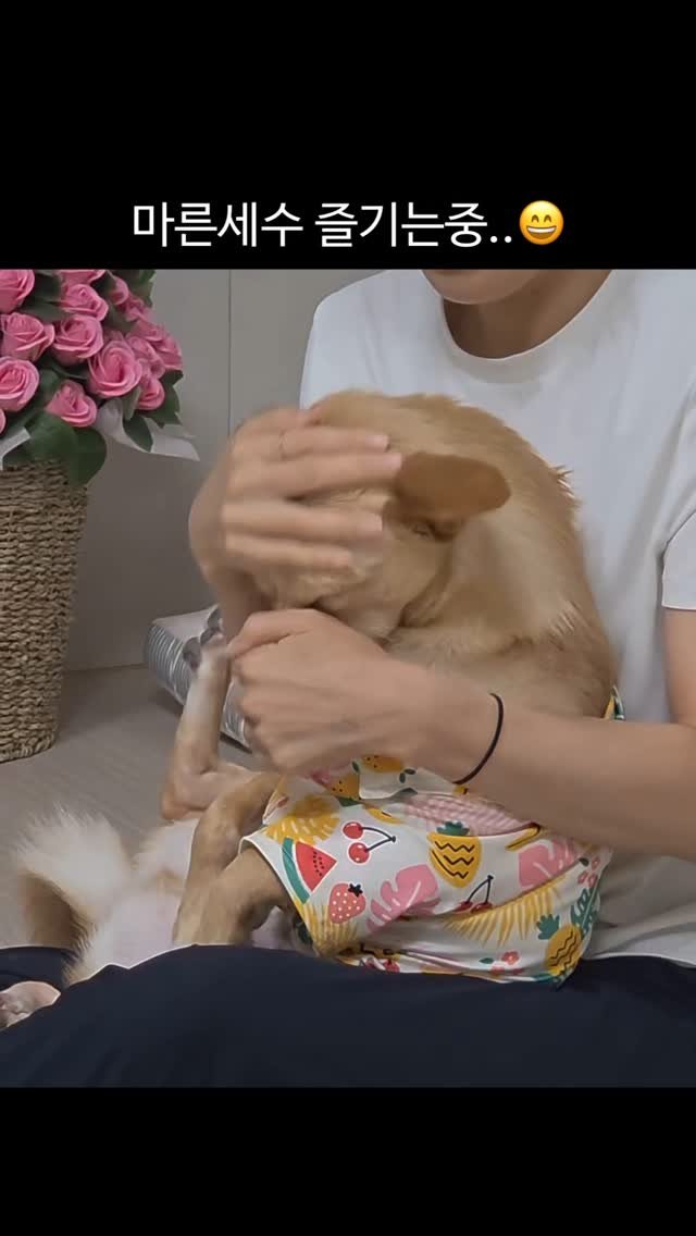 lovely_taeny 게시물 이미지: 우리알렉스 이번엔 삐진거 아니래요😝
거꾸로 쓰담쓰담 해주는거 즐기는편ㅋㅋ마른세수를...