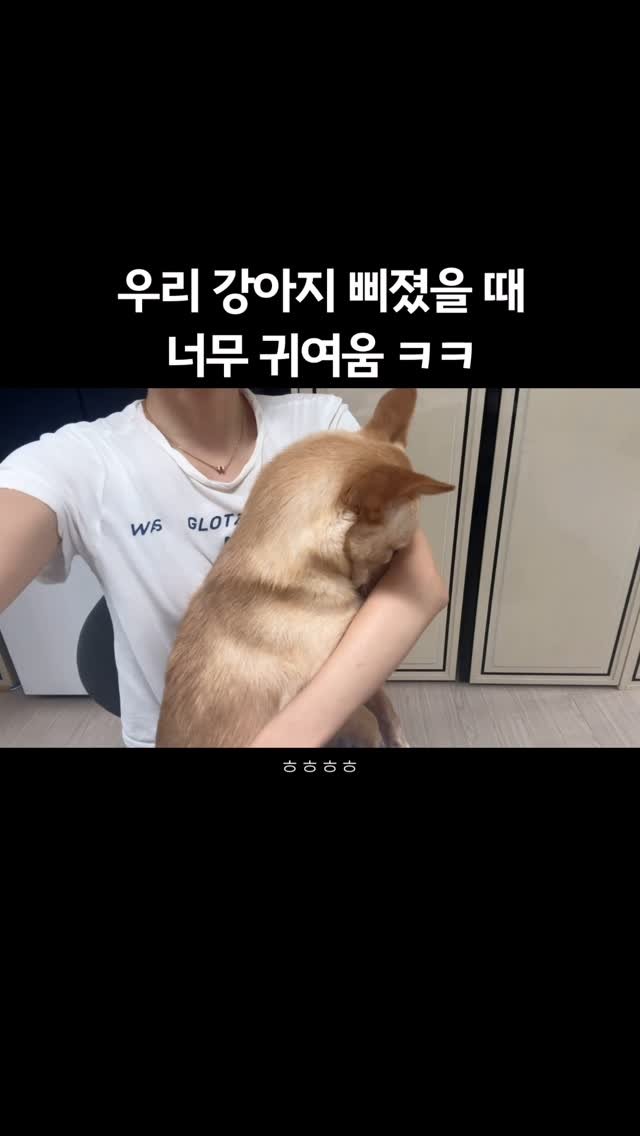 lovely_taeny 게시물 이미지: 난 잠시 꼬순내테라피가 필요했을 뿐인데…
삐져가지고 히융히융하면 귀여워서 용서...