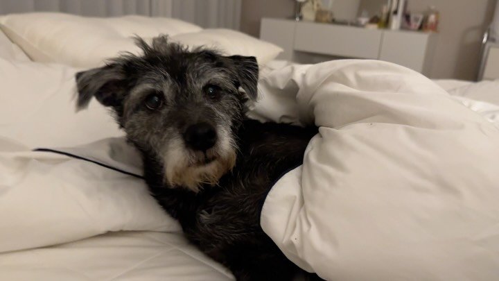 lovely_taeny 게시물 이미지: 가슴을 쓸어내리며 기록해 보는 일주일……😔
정말 이번 주는… 어떻게 시간이...