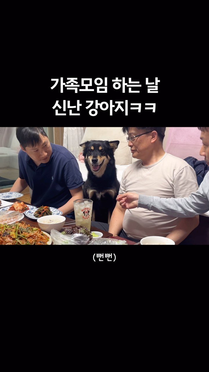 lovely_taeny 게시물 이미지: 이날만을 기다렸다 
1년에 한번 울집에서 외가친척 가족모임 하는 날ㅋㅋ
관종...