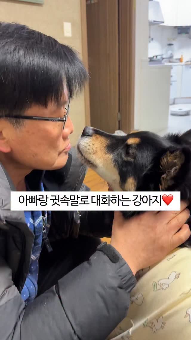 lovely_taeny 게시물 이미지: 우리는 대화가 가넝한 사이🙌🏻

아니 근데 아빠는 대박이가 진짜 다 알아듣는다고...