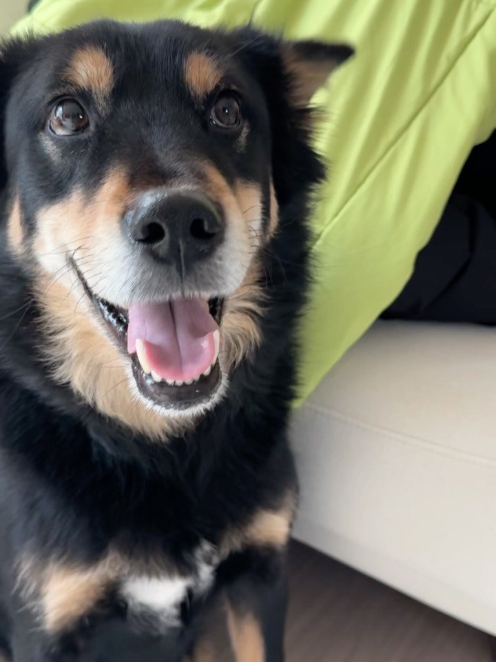 lovely_taeny 게시물 이미지: 메리 크리스마스🎄모두 행복한 성탄절 보내고 계신가요? 
지난 영상에서 저희...