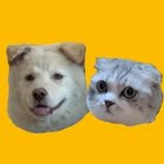 gom_cuma 프로필 사진