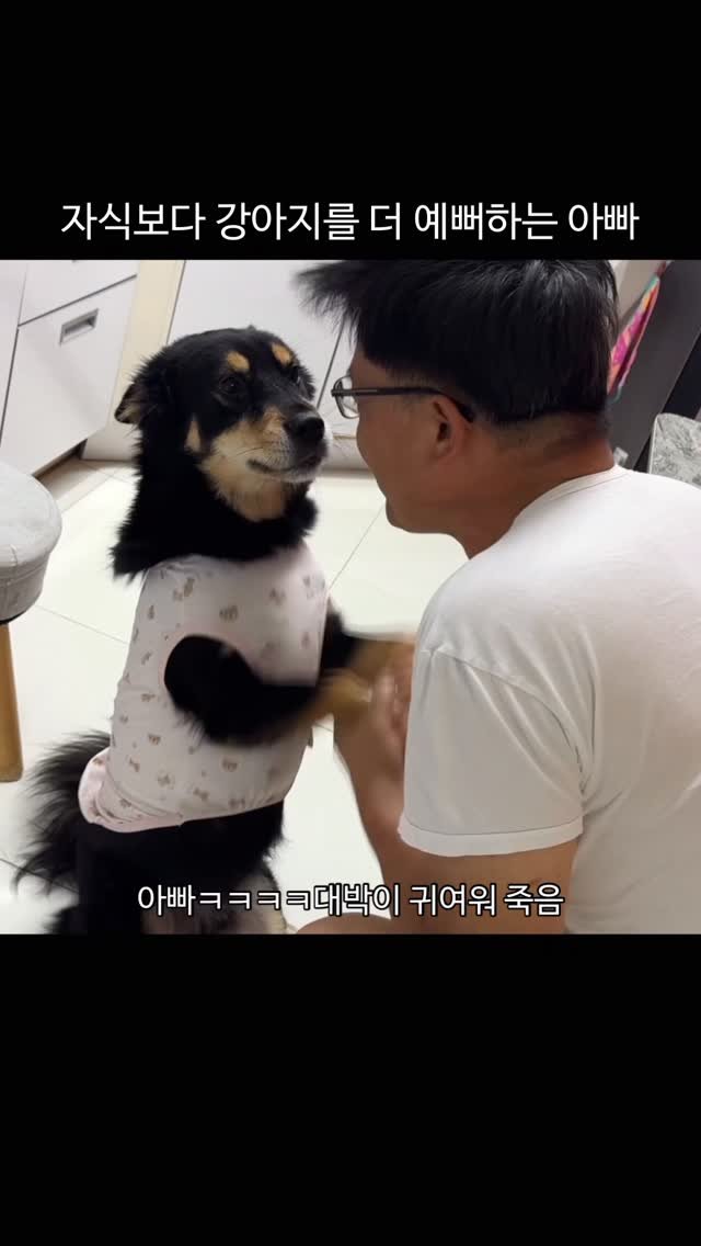 lovely_taeny 게시물 이미지: 강아지들은 사람한테 의지해야만 살아갈 수 있는 존재라서 우리가 없음 얘네는...