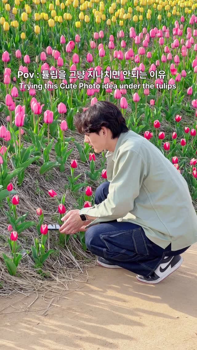 lovyeun 게시물 이미지: 튤립이 보인다면 그냥 지나치지마세요🌷튤립과 함께 투턱 걱정 없이 !!!! 실패확률...
