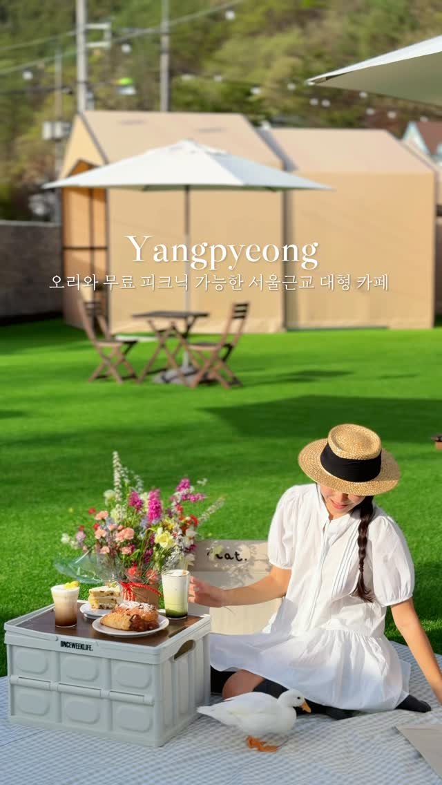 lovyeun 게시물 이미지: 서울에서 1시간 , 오리와 무료 피크닉 가능한 초신상 카페🐤✨🧺

@@저장하고 함께...