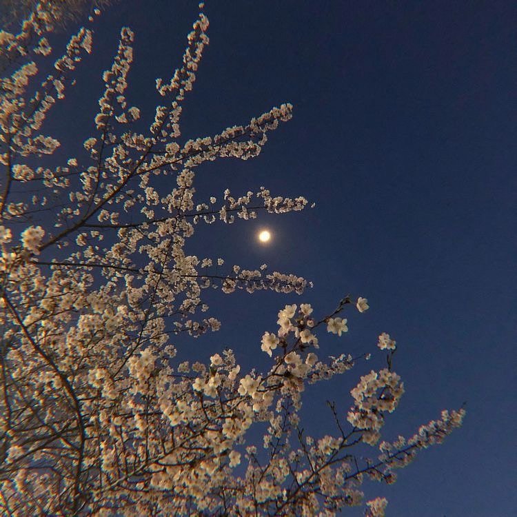 Photo by 이지구 ⓒ on April 01, 2023.