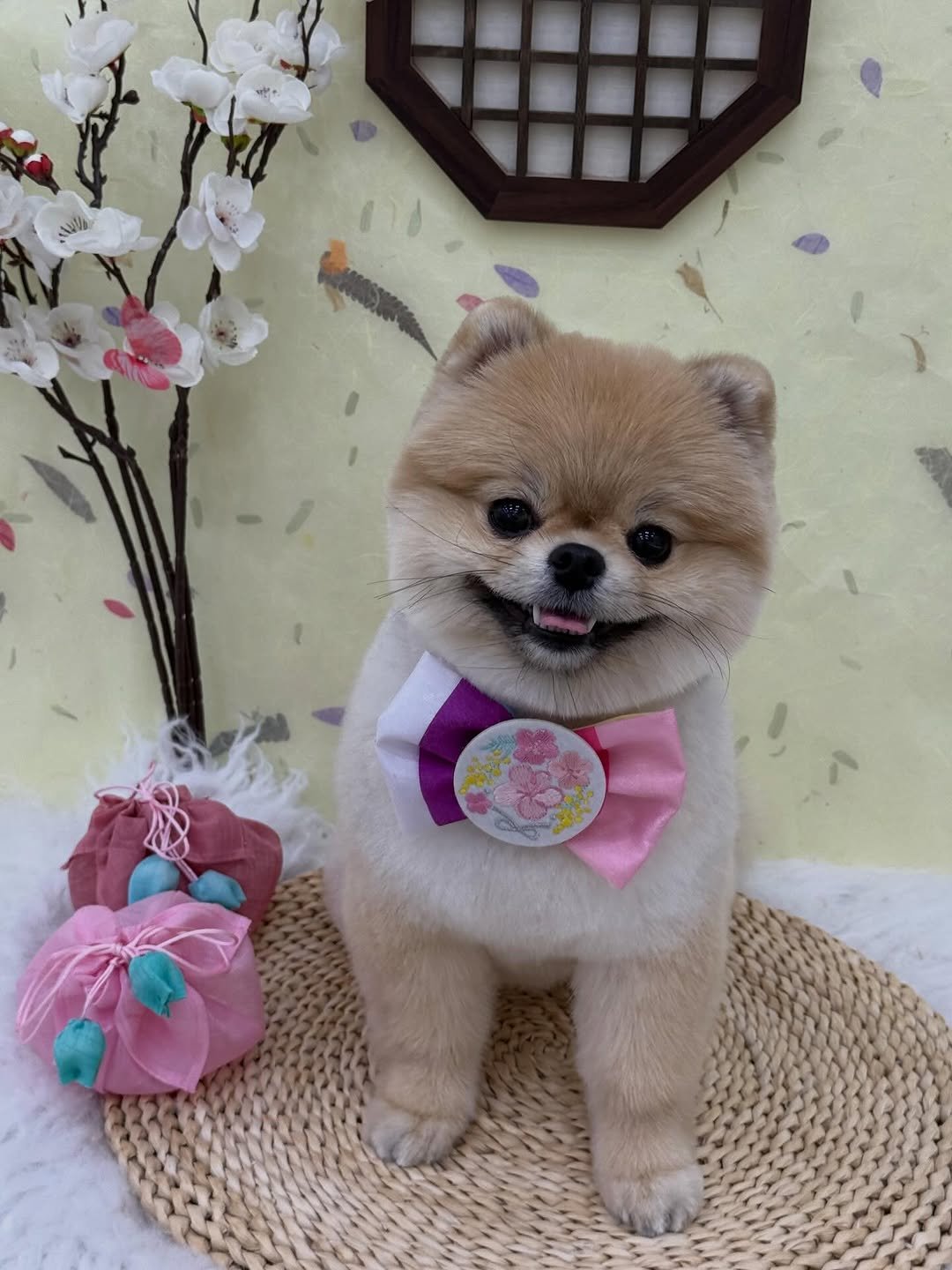 lua.fit_s7 게시물 이미지: -
2026 홧팅👊🫶

#설날 #새해복많이받으세요🙇🏻‍♀️