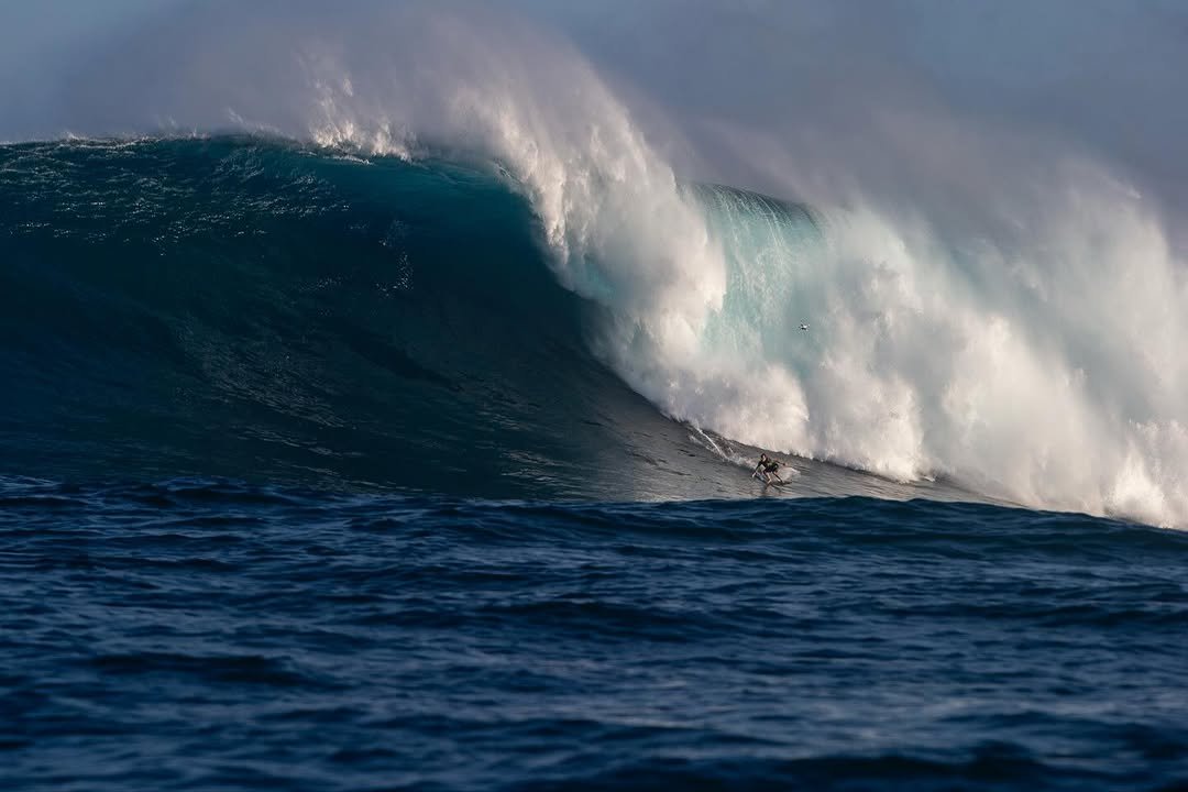 Photo by Lucas Fink on November 14, 2025. May be an image of ocean, water and text.