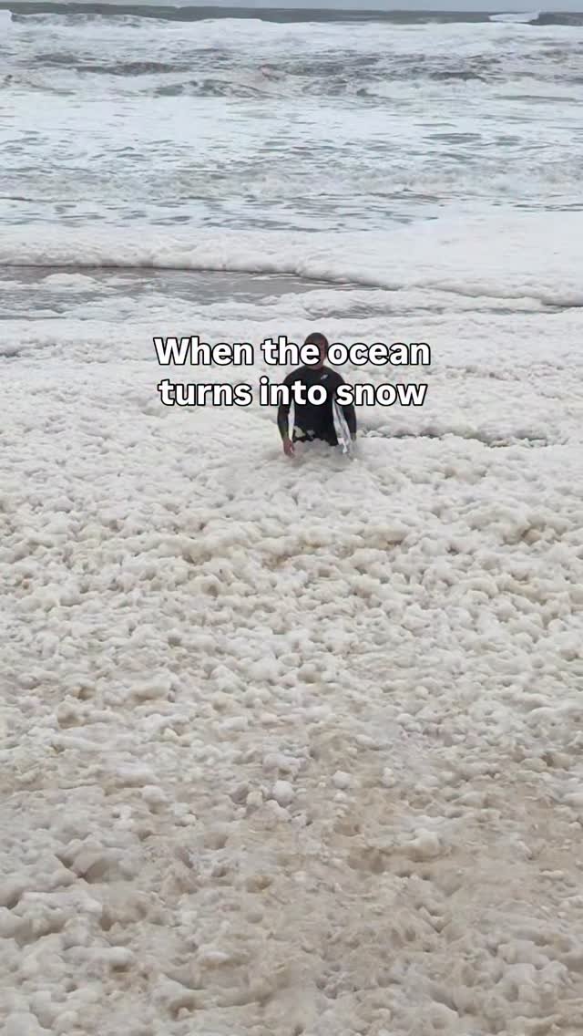 lucasfink 게시물 이미지: Skimboarding or Snowboarding?