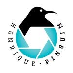 henriquepinguim 프로필 사진