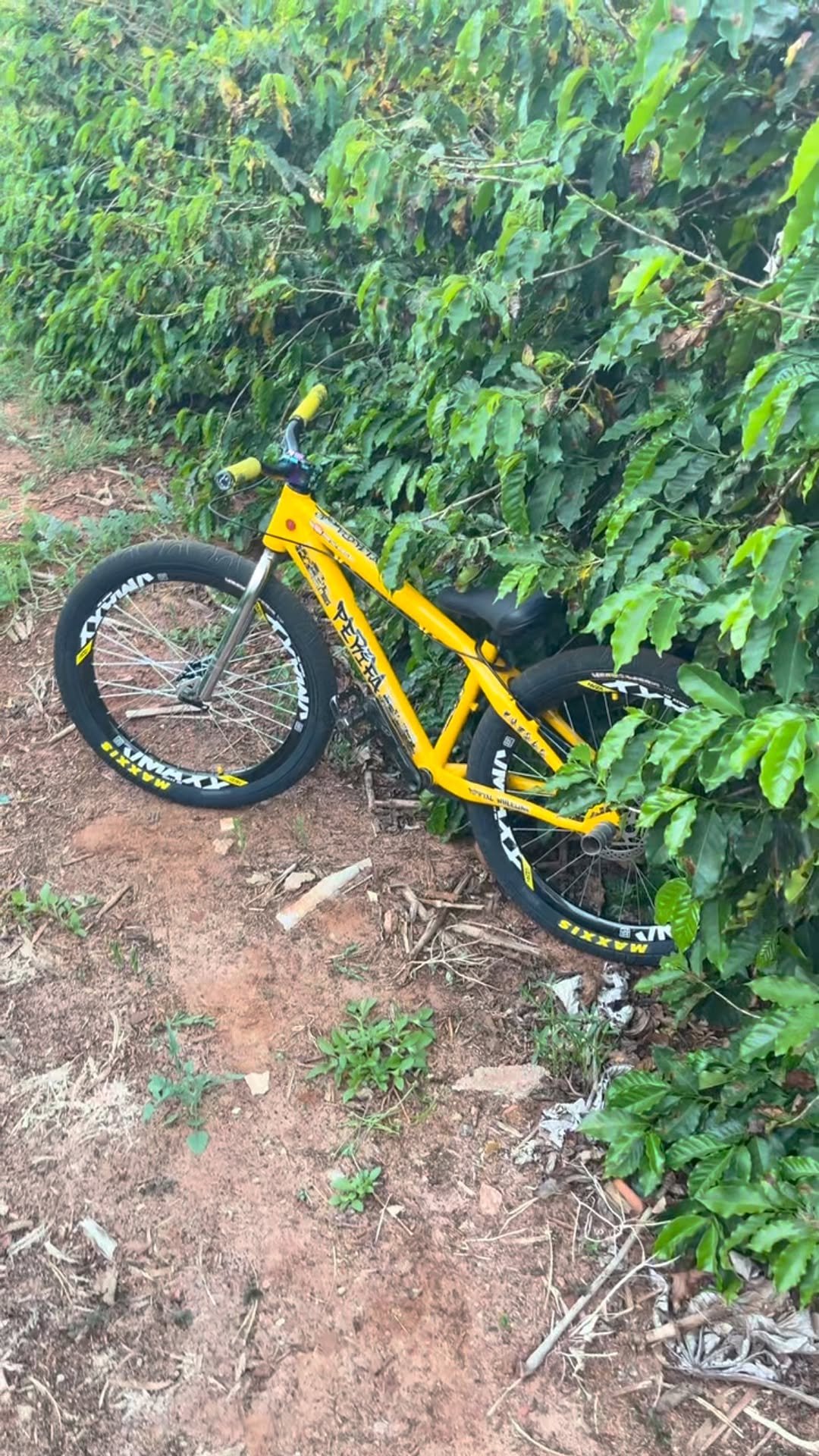 lucasparisato 게시물 이미지: Gostou ? Segue aí ! 

#explore #foryou #perifa...