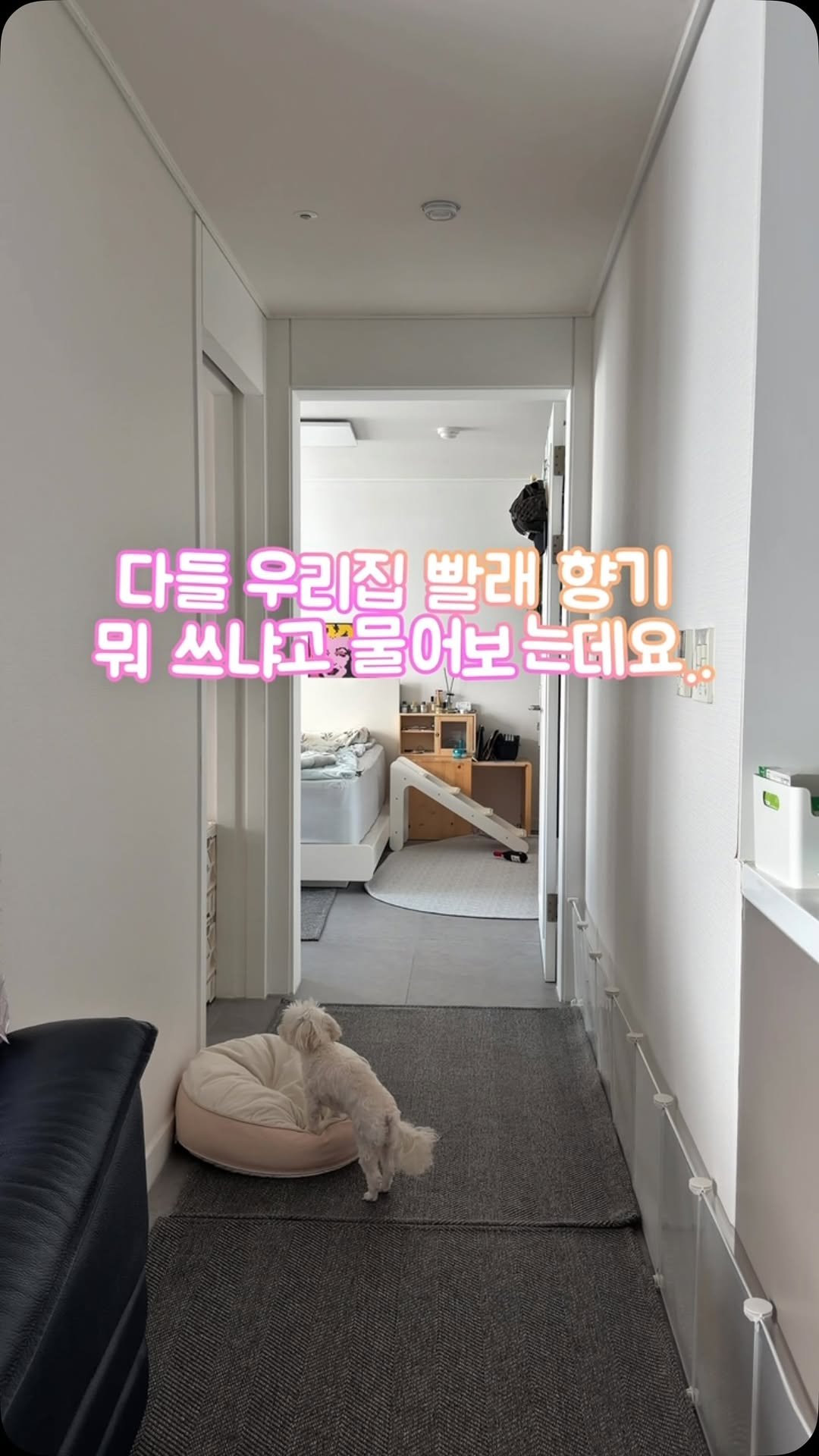 luckstar8989 게시물 이미지: #광고

요즘 빨래하면서 제일 마음에 드는 변화가 있다면 바로 향기✨

예전에는...