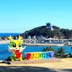jangho_yonghwa_land 프로필 사진