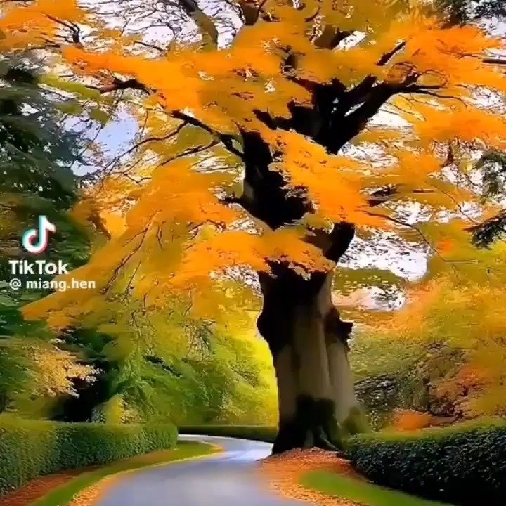 luckyman195931 게시물 이미지: 