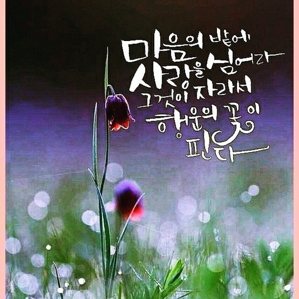 luckyman195931 게시물 이미지: 보물산을 소유한 나는 이미 백만장자다