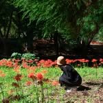 woody_oo 프로필 사진