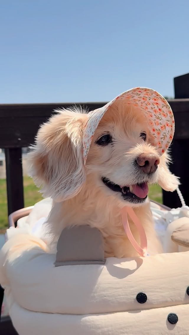 lulu__mix 게시물 이미지: 햅삐찹추✨
옵빠 18등했다고 고쳐달래요 쌰갈