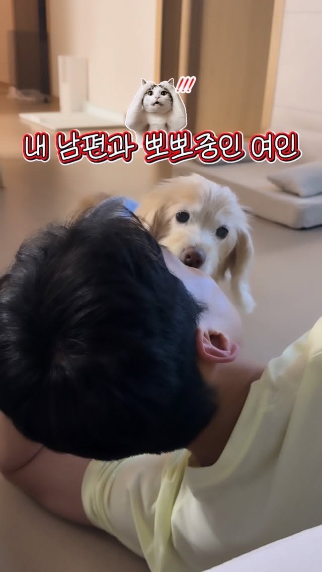 lulu__mix 게시물 이미지: 이것들 딱 걸렸어
