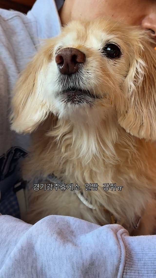 lulu__mix 게시물 이미지: 칭구 보고 짖짖할땐 한껏 옹졸해지는 입 🖤