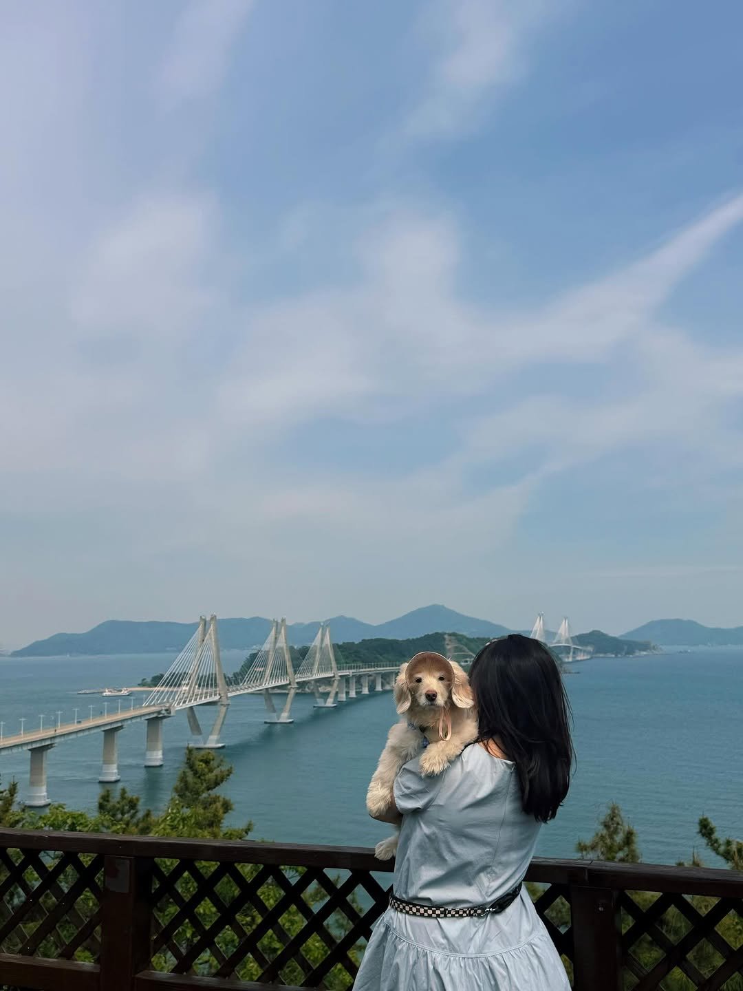 Photo by 룰루 on April 28, 2026. May be an image of cocker spaniel, Victoria Peak, suspension bridge and text.
