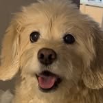 lulu__mix 인스타그램 프로필 사진