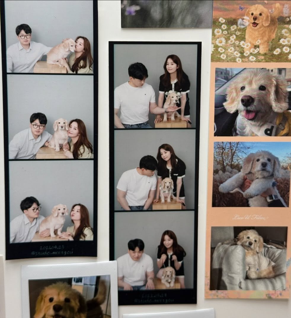 Photo by 룰루 on November 20, 2024.