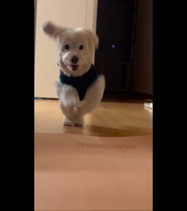 lulu__mix 게시물 이미지: 나!!! 너무!!! 싱나요!!!!!