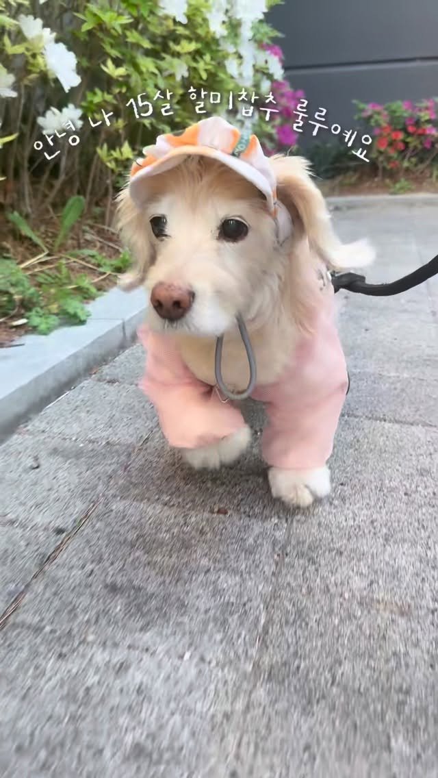 lulu__mix 게시물 이미지: 내 짝남…. 사랑해따..⭐️