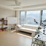 lumi_haru 인스타그램 프로필 사진