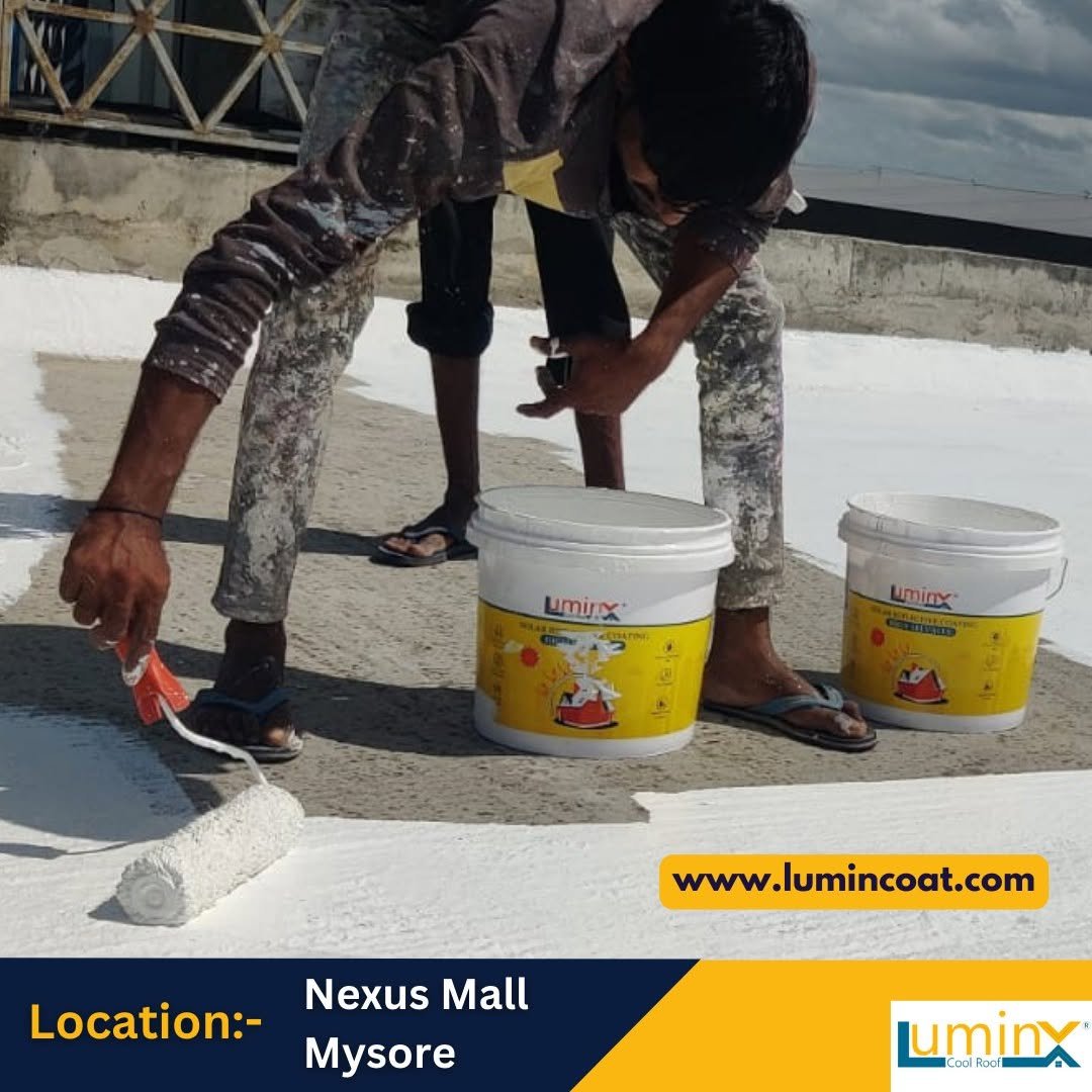 Photo by LuminX on February 11, 2024.