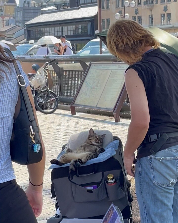 luv5ic 게시물 이미지: 보이는 그대로의 평화로움

교토에서의 이 만남이 
내 첫 일본 여행의 유일한...