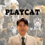 playcat.kr 프로필 사진