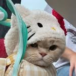 marininimmmk 프로필 사진
